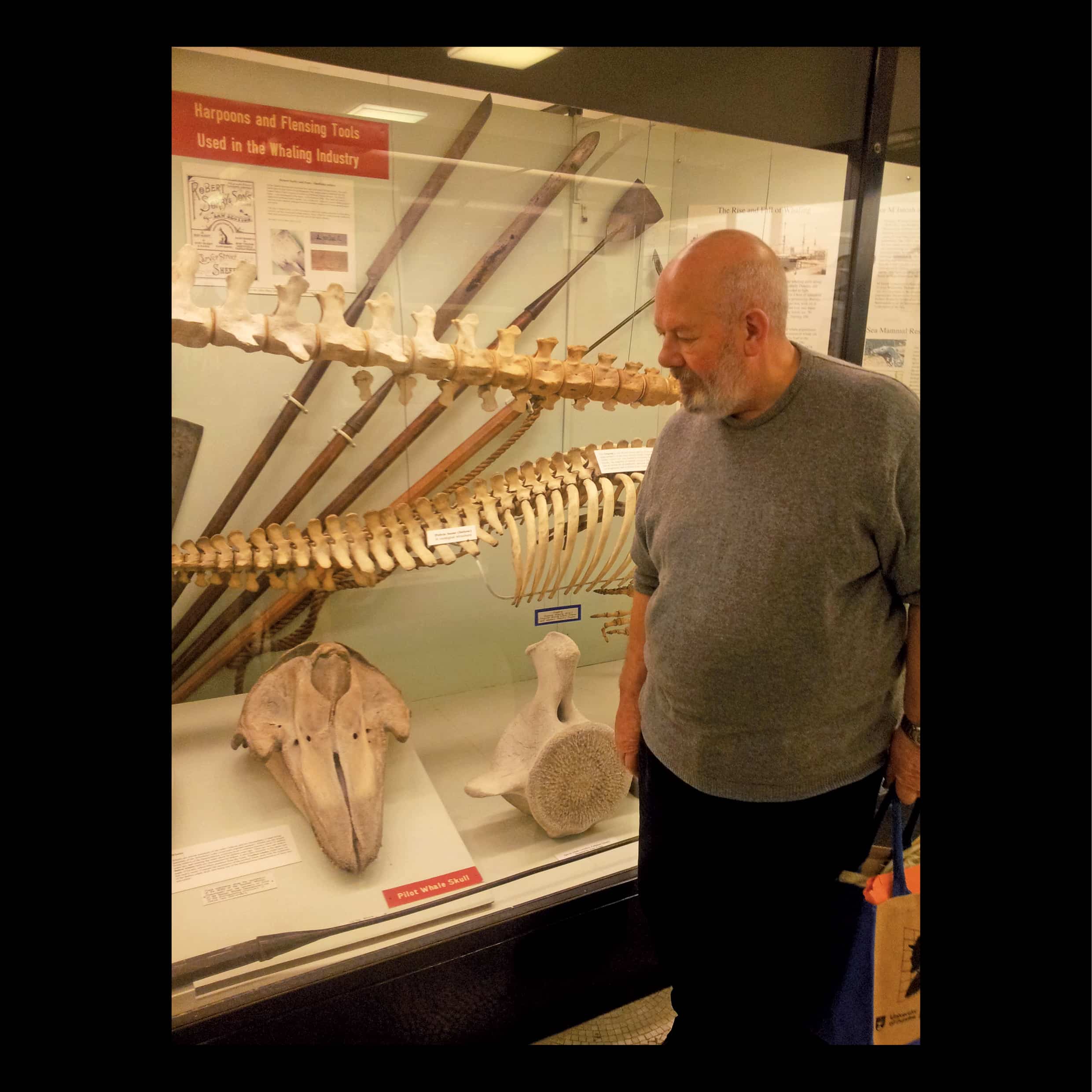  Professor John Clement at the Grant Museum of Comparative Anatomy, 2015. Photograph by Rita Hardiman. 