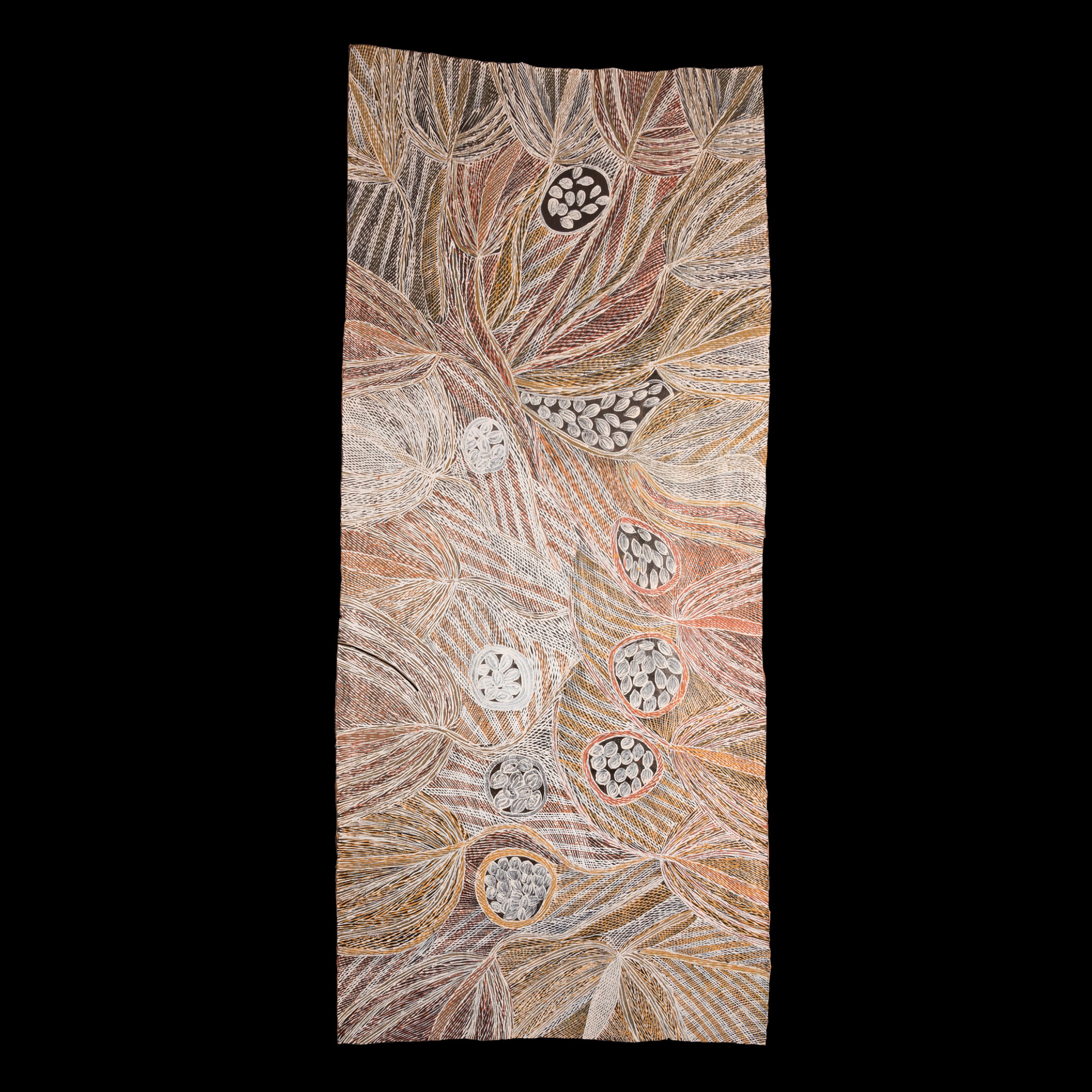 Mulkuṉ Wirrpanda (b. 1946), language: Dhudi-Djapu; clan: Dhudi-Djapu / Dha-malamirr; moiety: Dhuwa; lives Yirrkala, NT; Baby teeth in the gunga, 2019, earth pigments on stringybark (bark painting),  209.0 × 88.5 cm. HFADM 3740, Henry Forman Atkinson Dental Museum, University of Melbourne. 