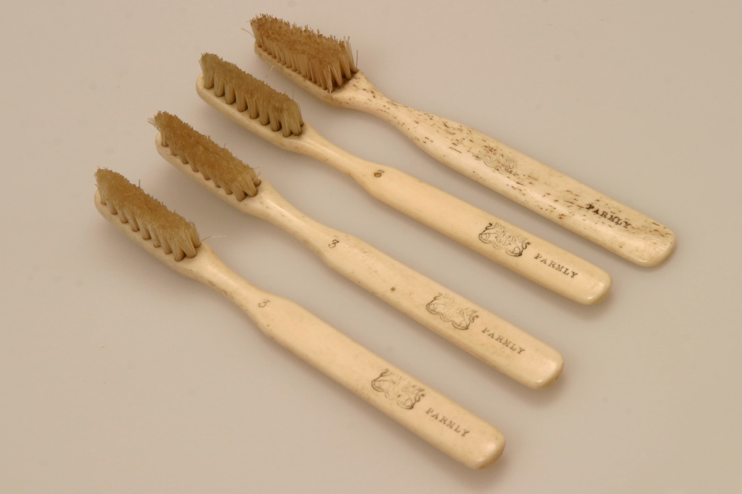 <strong>Toothbrushes</strong> (five), 1828, bristles, bone 12.5 × 1.0 × 1.8 cm, stamped PARNLY
<br><br>
  KNMT K-652, Royal Dutch Dental Association.